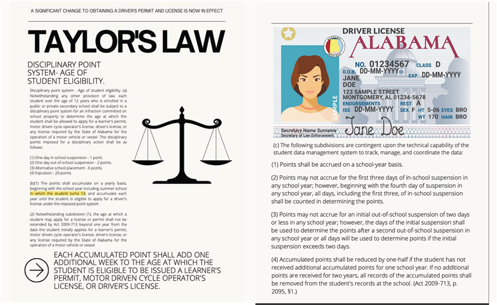 Taylor's Law